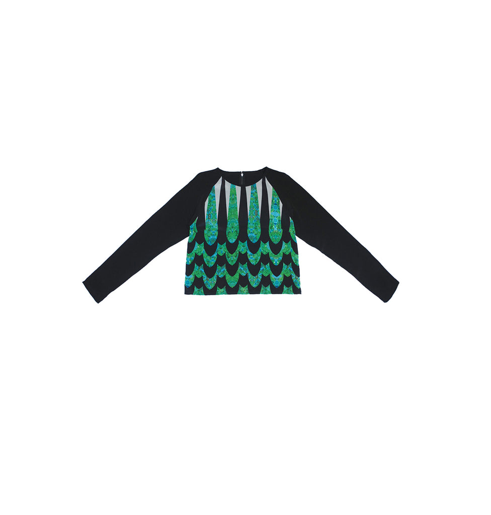 Smew top